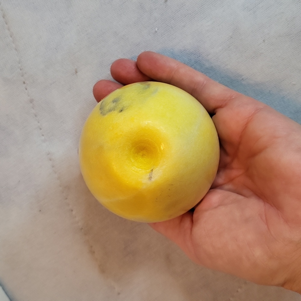 Vintage Polished Marble Apple Paperweight - Picture 6 of 6